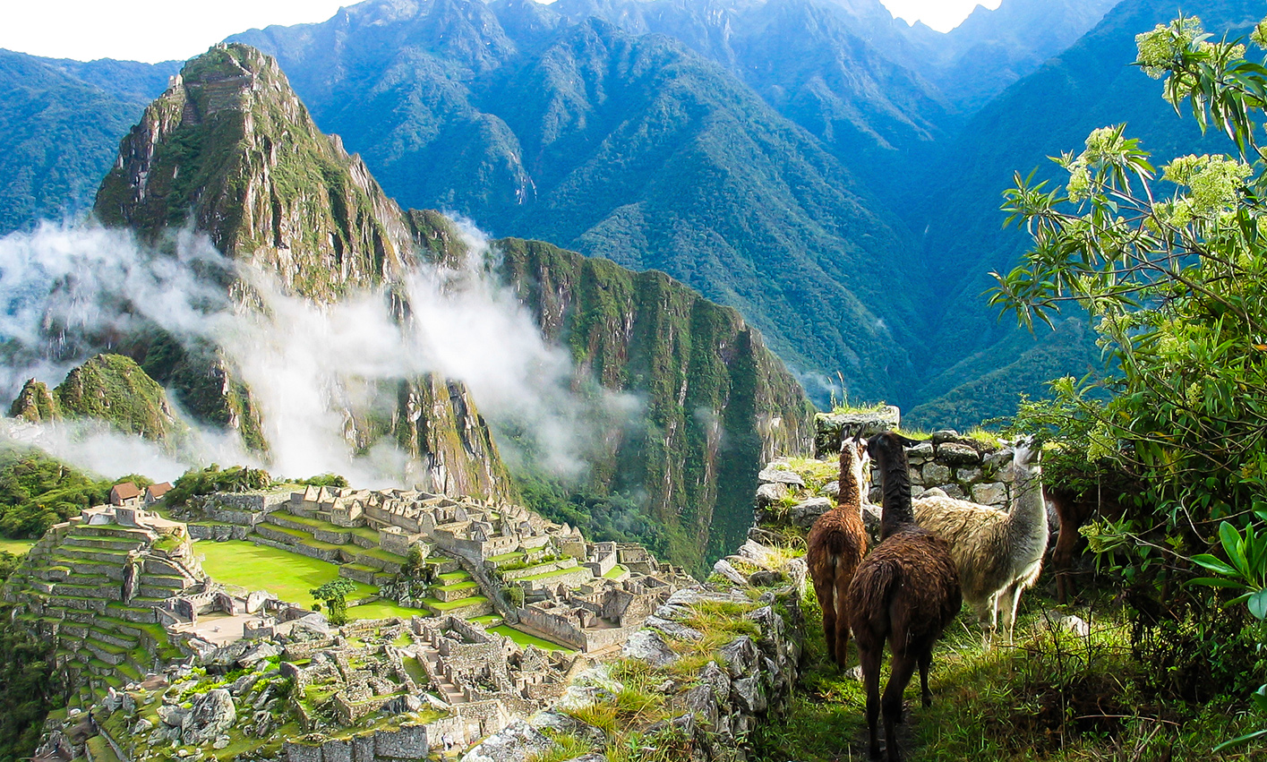 Llamas enjoying the view of Machu Picchu and surrounding mountains in Peru.